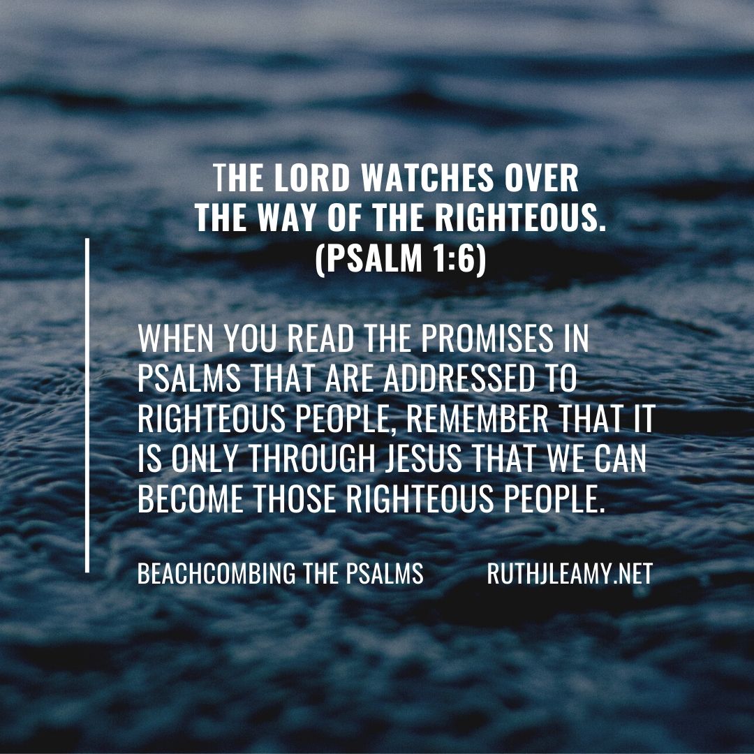 Serene Seas Instagram Post